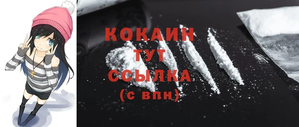 PSILOCYBIN Корсаков