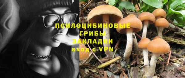 PSILOCYBIN Корсаков