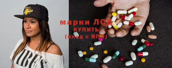 PSILOCYBIN Корсаков