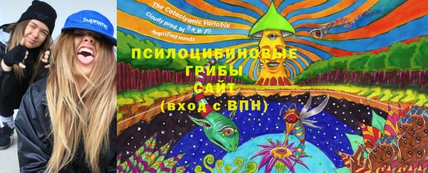 PSILOCYBIN Корсаков