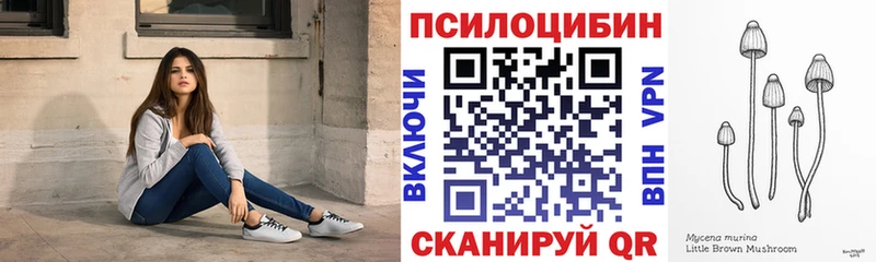 Купить закладки  Ясный  Галлюциногенные грибы прущие грибы 